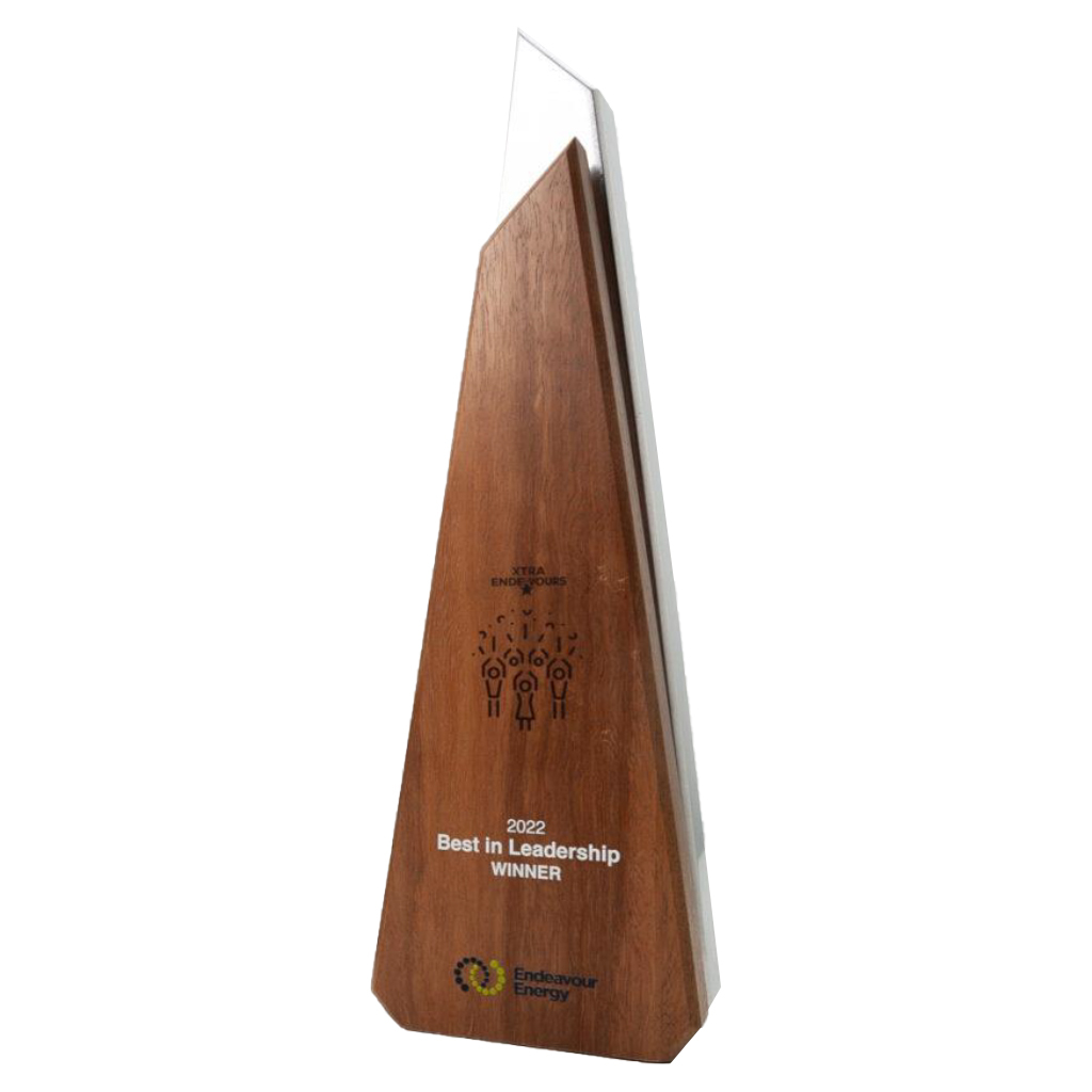 Tech Trophy Wood - TrophyTech.ae